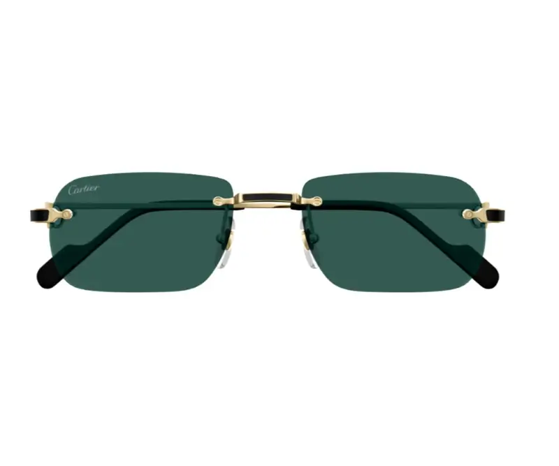 CARTIER 0498S - Image 6