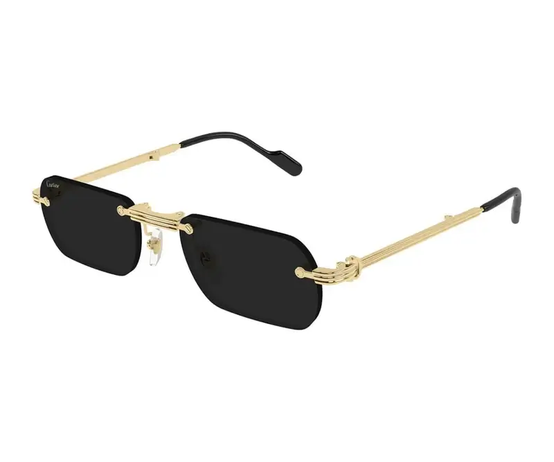CARTIER 0499S
