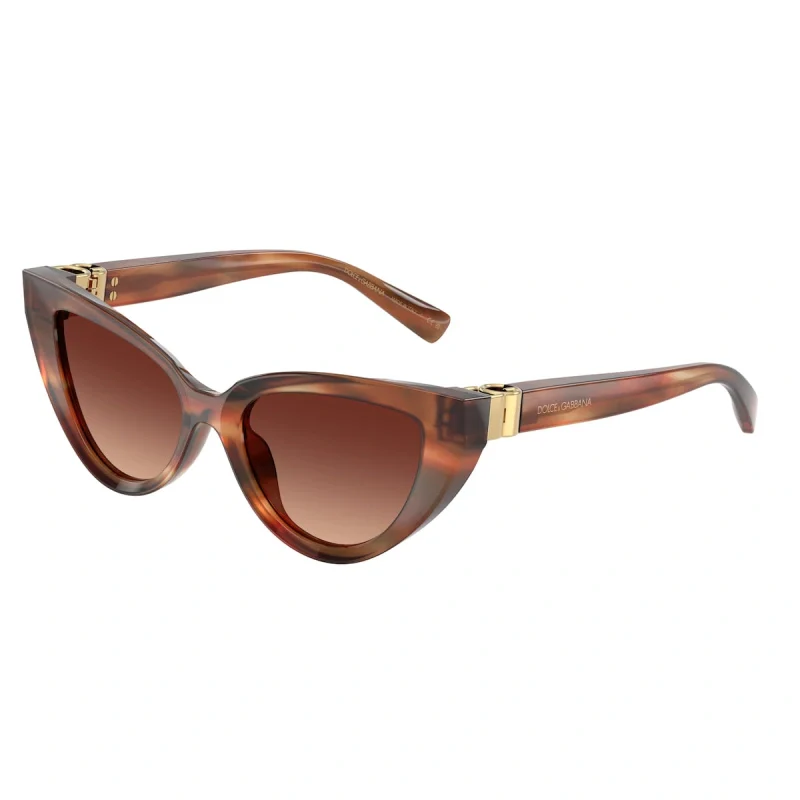 DOLCE GABBANA 0DG 4497
